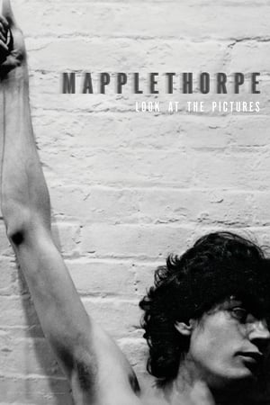 Poster Mapplethorpe: Look at the Pictures (2016)