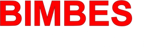 Bimbes: Die schwarzen Kassen des Helmut Kohl