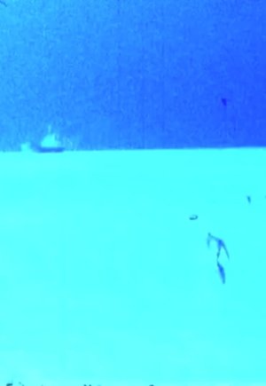 Image Elli