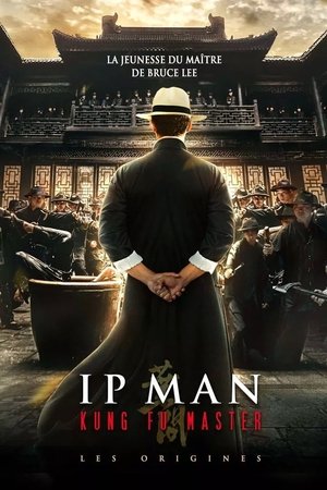 Ip Man Kung Fu Master : Les Origines 2019