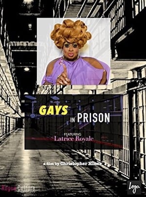 Poster Gays in Prison (2015)