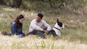 ดูหนัง Seven Pounds (2008) เจ็ดหัวใจศรัทธา