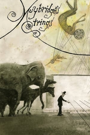 Poster Muybridge's Strings (2011)