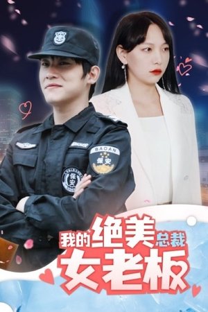 我的绝美总裁女老板