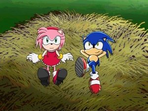 Sonic X How to Catch a Hedgehog