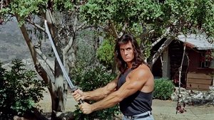 Samurai Cop film complet