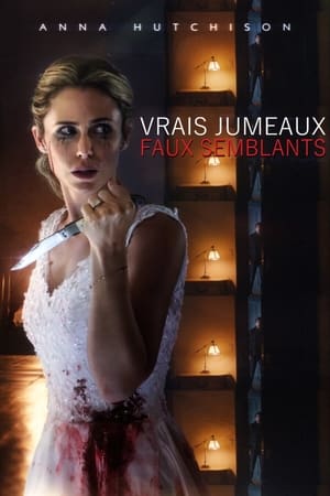 Poster Vrais jumeaux, faux semblants 2017