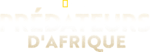 Caçadores da África — Logos 8