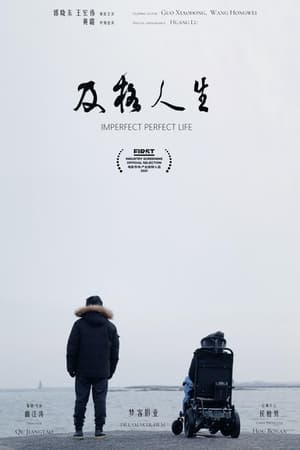 Poster Imperfect Perfect Life 2021