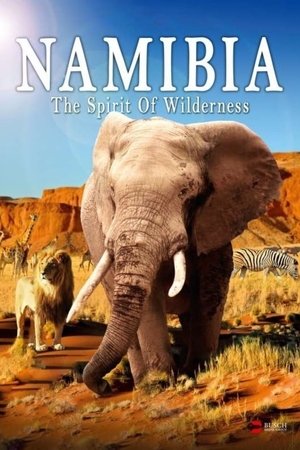 Poster Namibia: The Spirit of Wilderness 2016