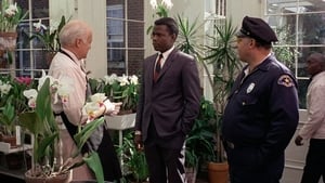 In the Heat of the Night (1967)