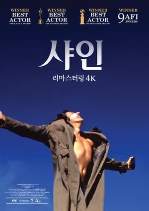 샤인 (1996)