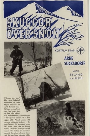 Skuggor över snön