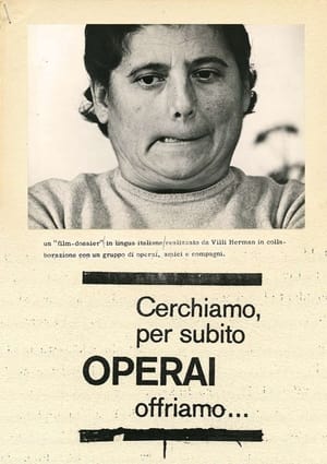 Cerchiamo per subito operai, offriamo...