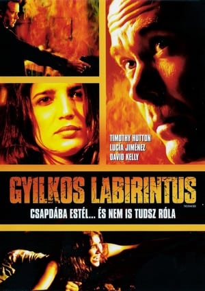 Poster Gyilkos labirintus 2006