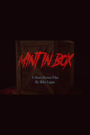 Mint in Box (2024)