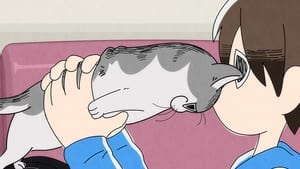 Nights With a Cat: 1×10