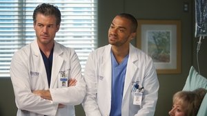 Grey’s Anatomy 8 x Episodio 15