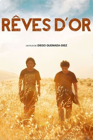 Poster Rêves d'or 2013