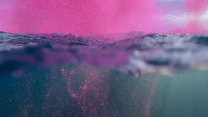 The Future of Nature: 1×1