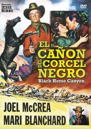 Poster El cañón del corcel negro 1954