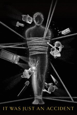 It Was Just an Accident (2025)