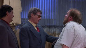 Death Wish V The Face of Death (1994)