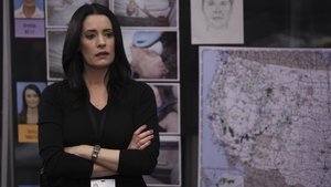 Mentes criminales temporada 11 capitulo 19