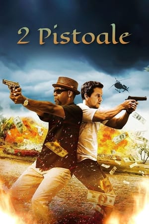 2 Guns (2013)