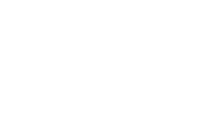 Pluto e o Esquilo — Logos 6