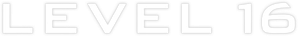 Level 16