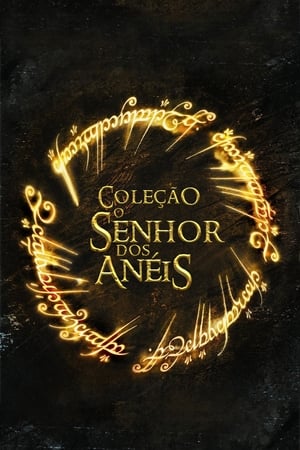 O Senhor dos Anéis: A Sociedade do Anel - Poster