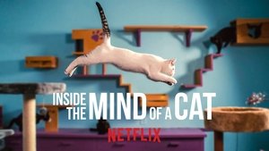 Inside the Mind of a Cat (2022)