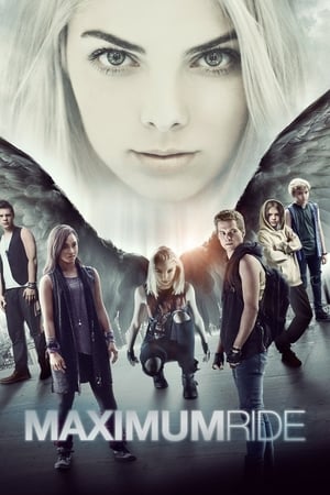 Image Maximum Ride - Szárnyra kapva