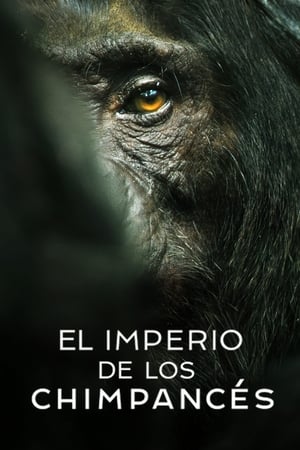 Image El imperio de los chimpancés