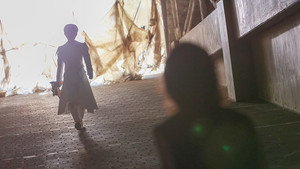 PROJECT R.E.D.: 2×11
