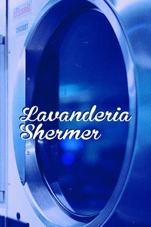 Lavanderia Shermer 2