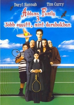 Poster Addams Family 3. 1998