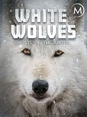 White Wolves: Ghosts of the Arctic poster