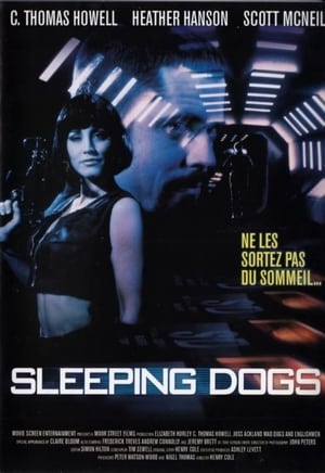 Poster Sleeping Dogs 1997