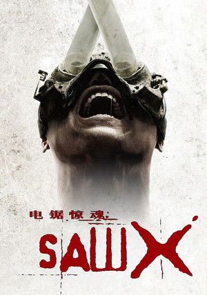 <？php echo $row ['title'];？>（<？php echo $year;？>）