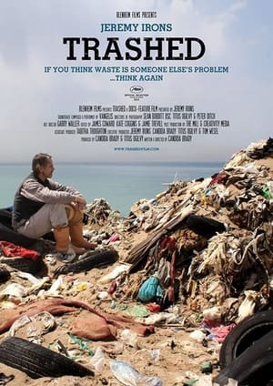 Poster Trashed (2012)