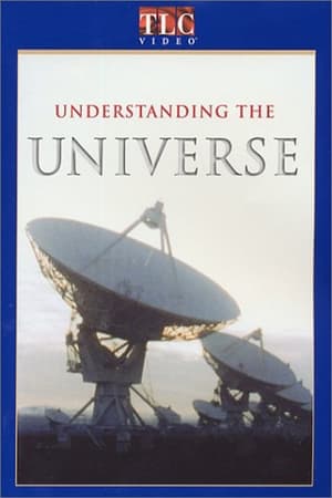 Poster Understanding the Universe 1993