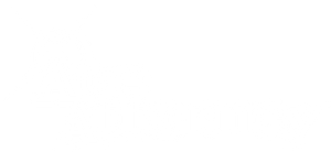 Ace Attorney — Logos 6