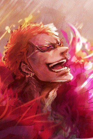 One Piece - Arc Dressrosa 1 - poster n°4