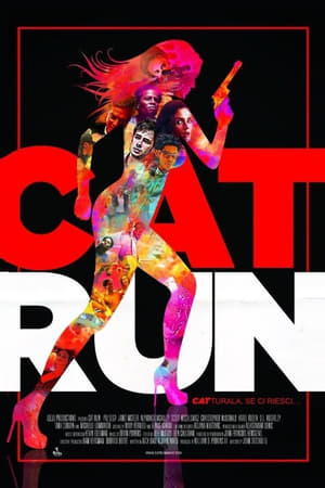 Image Cat Run