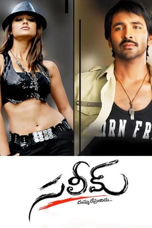 Poster సలీమ్ 2009