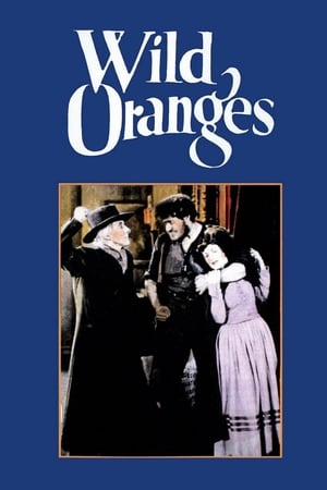 Wild Oranges poster