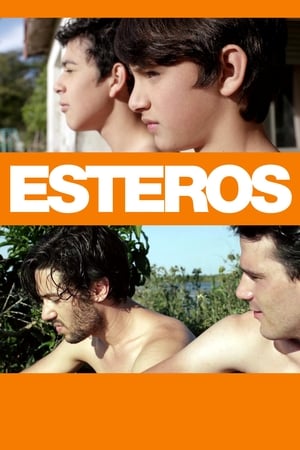 Poster Esteros (2016)