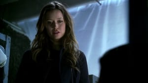 Terminator: The Sarah Connor Chronicles: 2×19